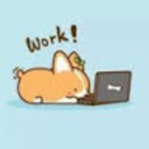 Meet your Posher, Josie